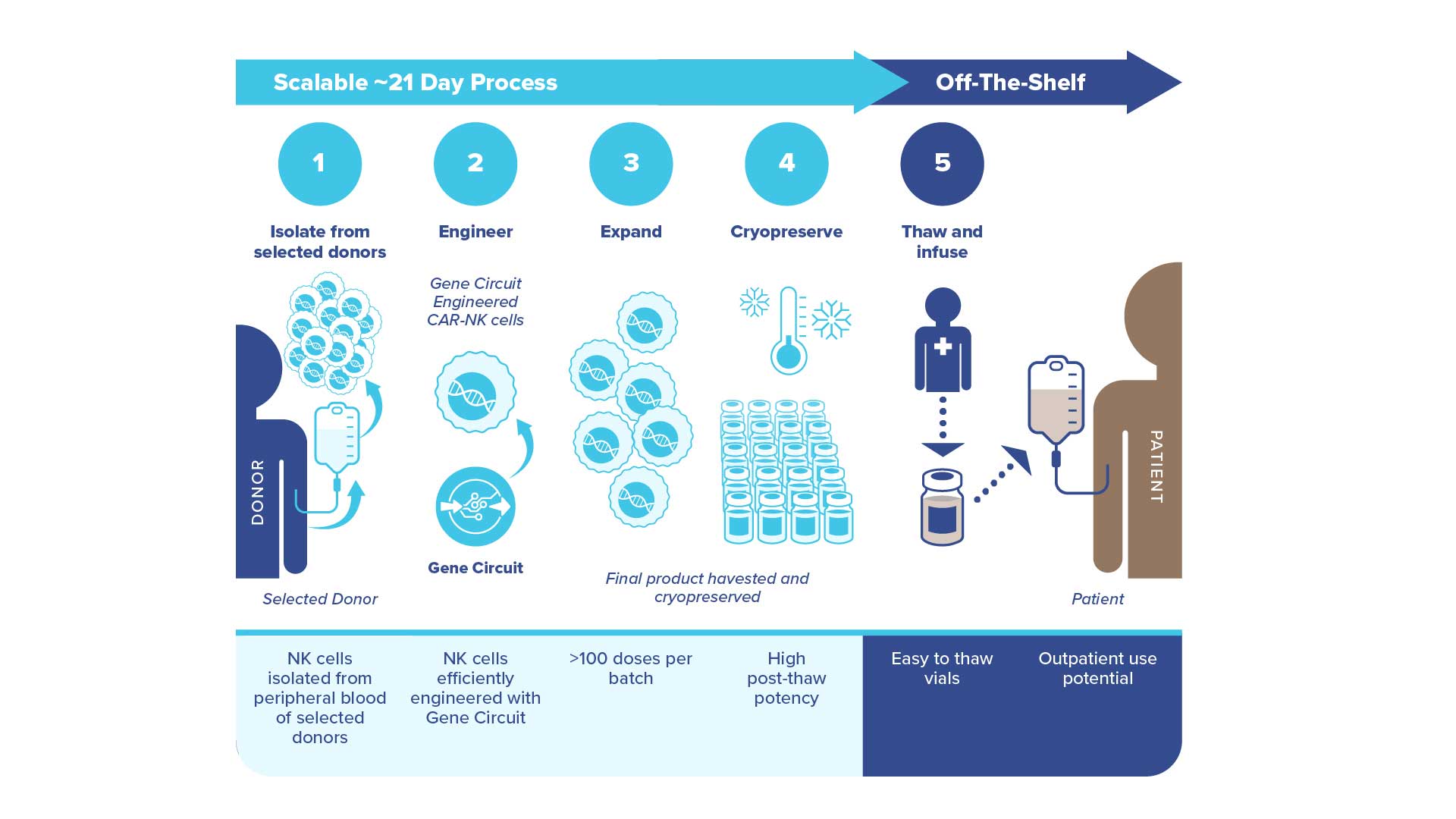 Scalable21DayProcess_graphic